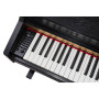 Цифрове піаніно Alfabeto Concertino (Black)