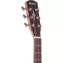 Акустическая гитара Alvarez RF26SSBAGP