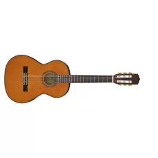 Классическая гитара Aria A-20-58 N