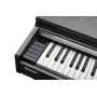 Цифрове піаніно Kurzweil CUP M1 SR