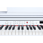Цифровое пианино Artesia DP30 White