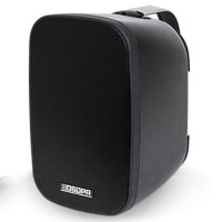 Настенная акустика DSPPA DSP5040B