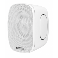 Настенная акустика DSPPA DSP6050W