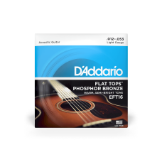 Струны D'addario EFT16 Flat Tops Phosphor Bronze Light 12-String (12-53)