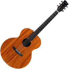 Акустическая гитара Enya EA-X1