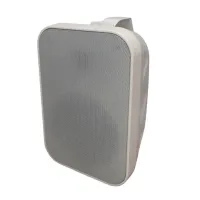 Настінна акустика Top Sound F-LHY5WW