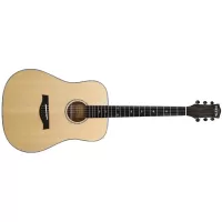 Акустическая гитара Fiesta FD410 NT