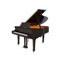 Акустичний рояль Ritmuller GP148R1 Ebony