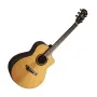 Электро-акустическая гитара Gopherwood i365RCE