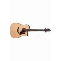 Електро-акустична гітара Ibanez AAD170CE LGS 