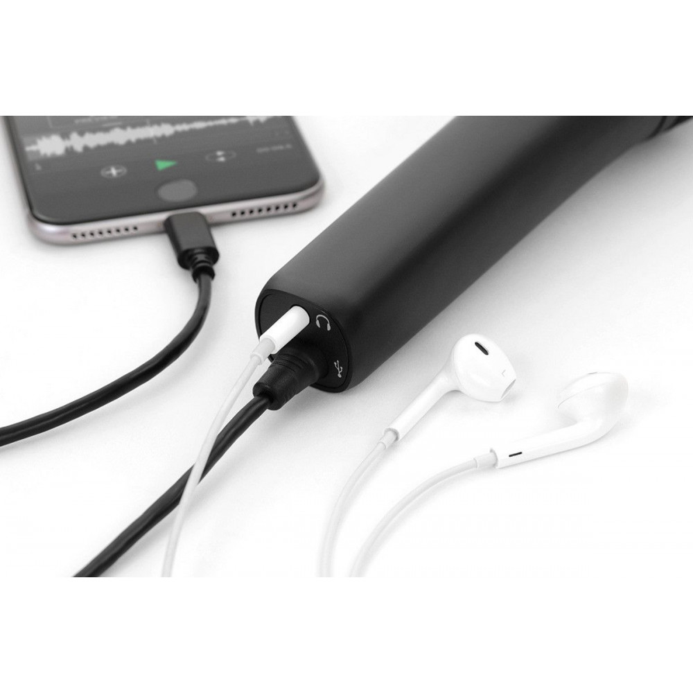 Микрофон IK Multimedia Rig Mic HD 2