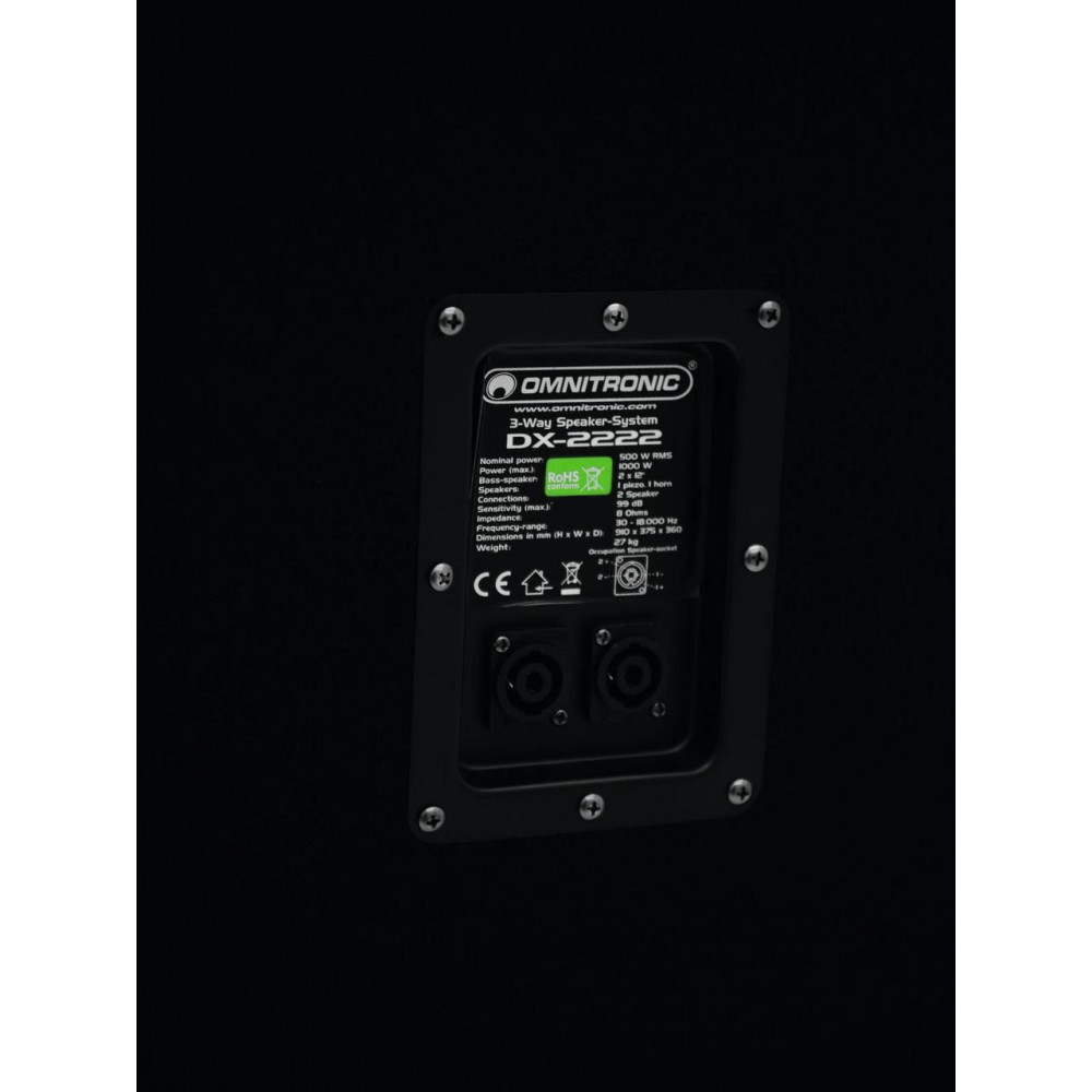 Акустична система Omnitronic DX-2222