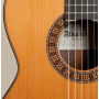 Класична гітара Alhambra 6P