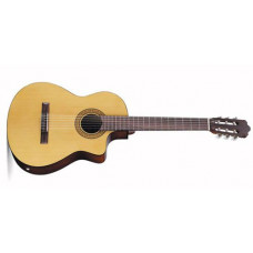 Акустическая гитара Walden N350CE/G