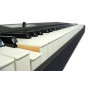 MIDI клавиатура Fatar-Studiologic SL88 Grand