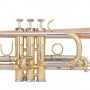 Труба Odyssey OTR1250