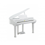 Цифровой рояль Kurzweil KAG-100 WHP