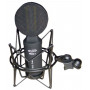 Стрічковий мікрофон Prodipe RIBBON 1