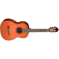 Класична гітара Cort AC100DX (YT)