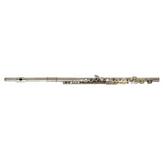 Флейта Maxtone TFC-51 / SEO