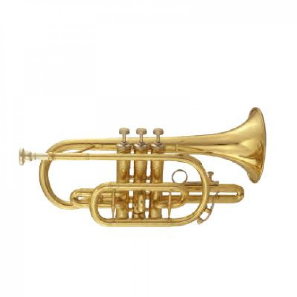 Корнет Maxtone TCC53L