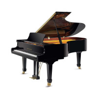 Акустичне фортепіано Pearl River GP212 Ebony