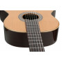 Классическая гитара Alhambra 1C BAG