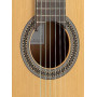 Классическая гитара Alhambra 2C BAG