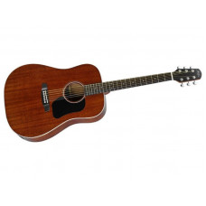 Акустическая гитара Walden Hawthorne HD221/B