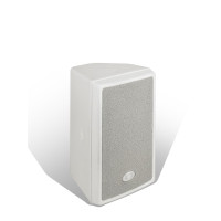 Акустическая система Dynacord D 8W