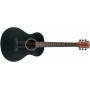 Акустична гітара Washburn AGM5BMK