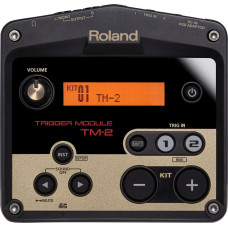 Критичний модуль Roland TM-2