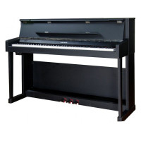 Цифровое фортепиано Amason F-50 BlackS
