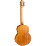 Укулеле Flight Iris Baritone BK