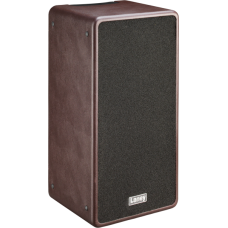 Гитарный комбоусилитель Laney A-DUO