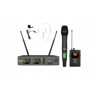 Радіосистема DV audio MGX-24HB MKII комбінована