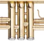 Труба Stagg P WS-TR115