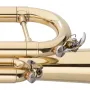 Труба Stagg P WS-TR115