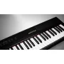 Цифровое пианино Artesia Performer Black