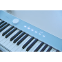 Цифрове піаніно Casio PX-S1100 CB