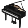 Цифровой рояль Roland GP-6 PE 