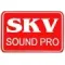Световые стойки - SKV Sound Pro