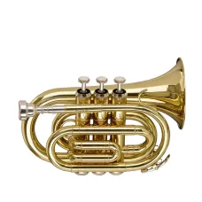 Труба Stagg PWS-TR245S
