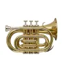 Труба Stagg PWS-TR245S