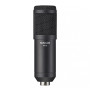 Мікрофон Tascam TM-70