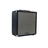 Комбопідсилювач Toneberg 30B