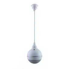 Подвесной динамик Top Sound TPO-900W