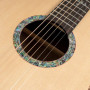 Акустическая гитара Washburn ELEGANTE S24S