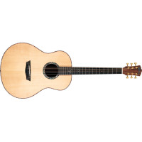 Акустична гітара Washburn ELEGANTE S24S