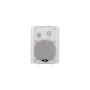 Настенная акустическая система Dv Audio WM-422TW